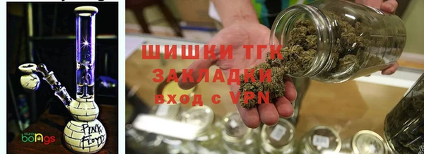 СК Новодвинск