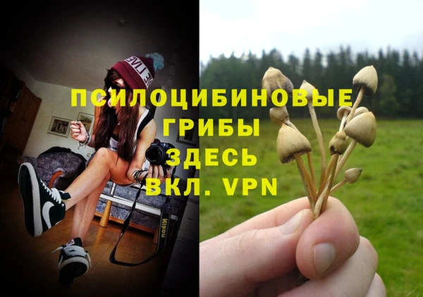 гидропоника Новокубанск