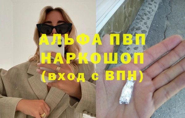 эйфоретик Няндома