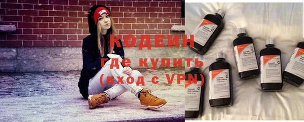 эйфоретик Няндома