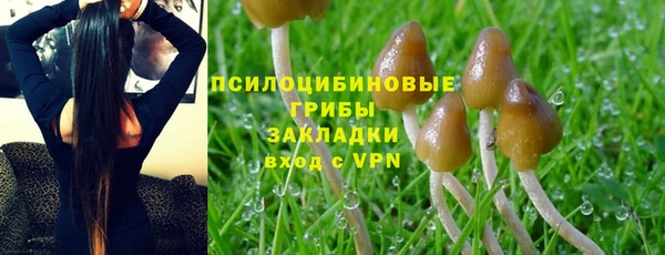 эйфоретик Няндома
