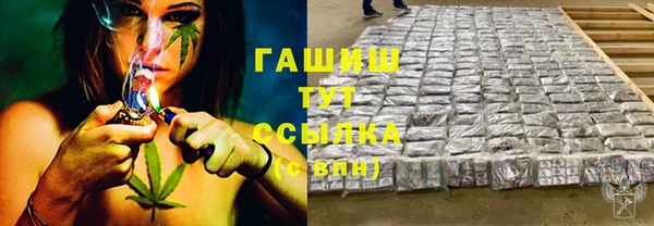 эйфоретик Няндома
