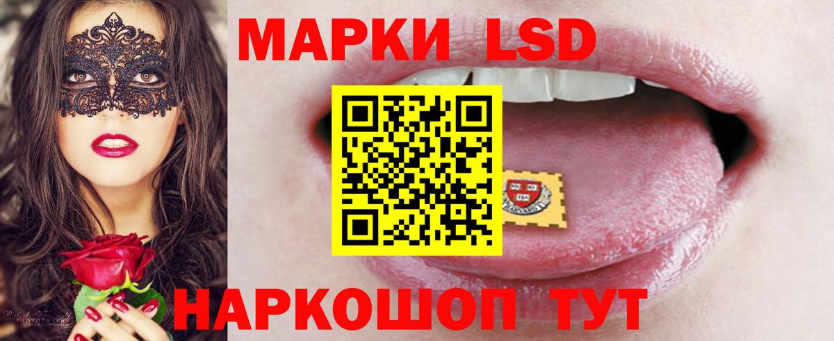МЕГА ссылка  Лсд 25 экстази  Вход с VPN  Лсд 25 экстази кислота  Новозыбков 