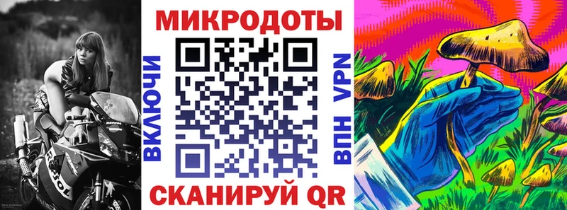 Псилоцибиновые грибы мицелий ОМГ ОМГ вход Новозыбков