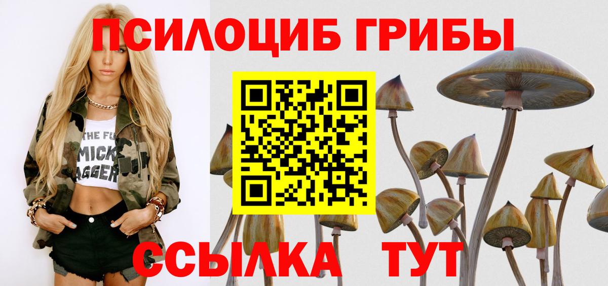 Галлюциногенные грибы GOLDEN TEACHER  Новозыбков 