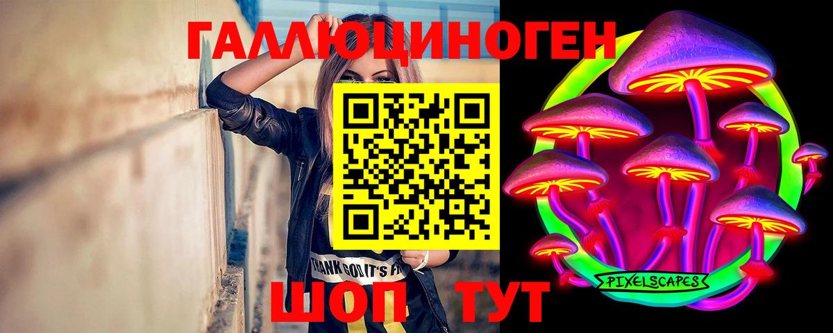 Галлюциногенные грибы Cubensis Новозыбков