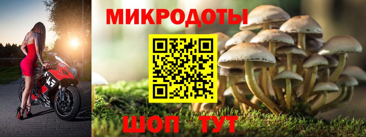 Галлюциногенные грибы MAGIC MUSHROOMS  Вход с VPN  Новозыбков 