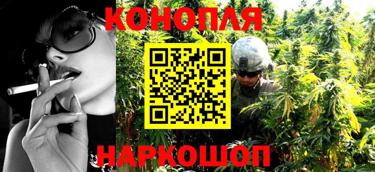 Бошки марихуана THC 21% Новозыбков